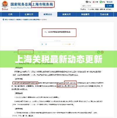 上海關稅最新動態更新