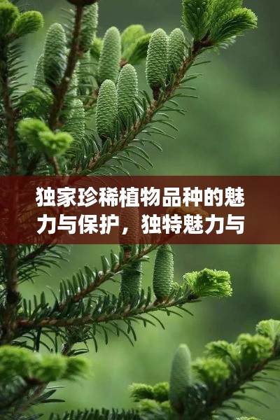 獨家珍稀植物品種的魅力與保護(hù)，獨特魅力與院外品種探秘