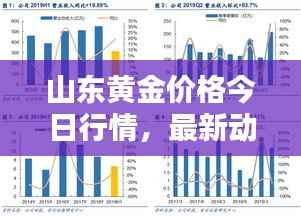 山東黃金價格今日行情，最新動態、深度分析與查詢