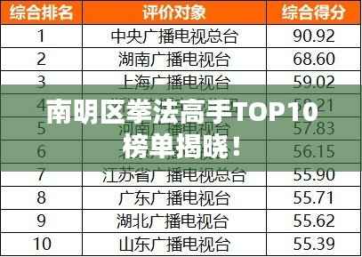 南明區拳法高手TOP10榜單揭曉！