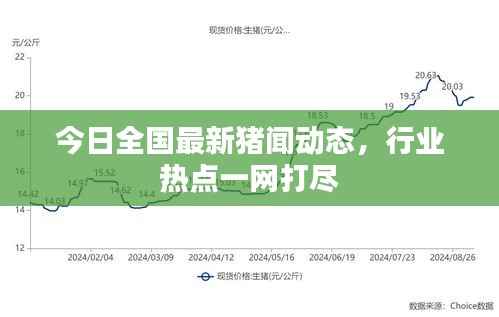 今日全國(guó)最新豬聞動(dòng)態(tài)，行業(yè)熱點(diǎn)一網(wǎng)打盡