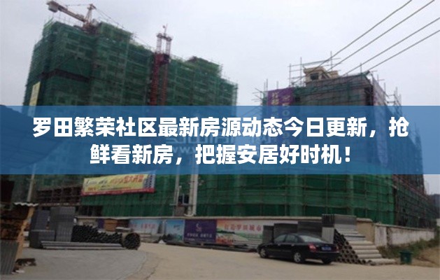 羅田繁榮社區(qū)最新房源動(dòng)態(tài)今日更新，搶鮮看新房，把握安居好時(shí)機(jī)！