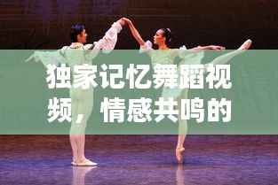 獨家記憶舞蹈視頻，情感共鳴的絕美舞動