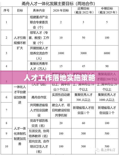 人才工作落地實施策略