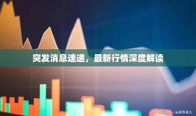 突發消息速遞，最新行情深度解讀