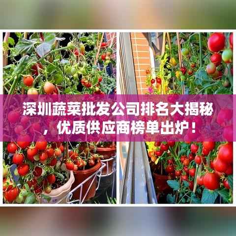 深圳蔬菜批發公司排名大揭秘，優質供應商榜單出爐！