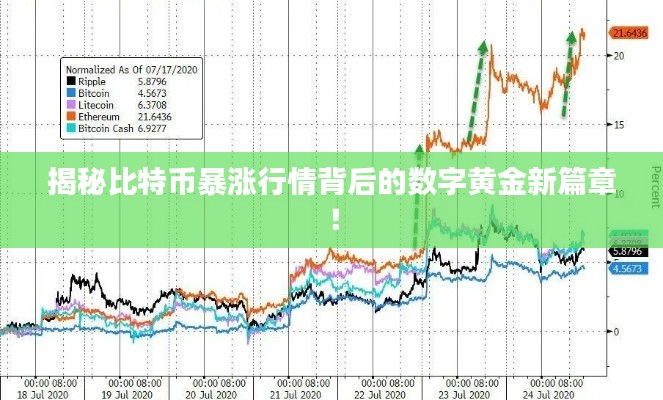 揭秘比特幣暴漲行情背后的數字黃金新篇章！