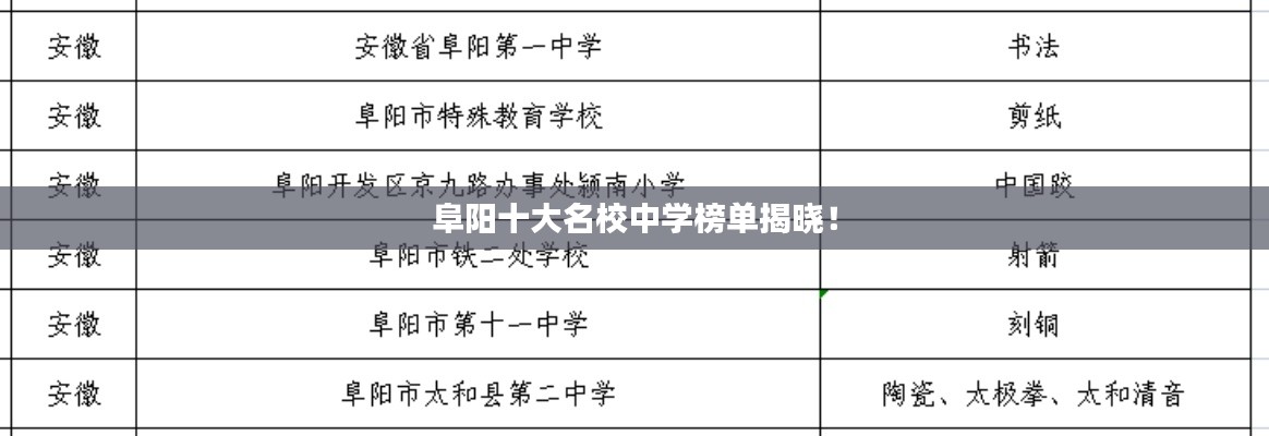阜陽十大名校中學榜單揭曉！