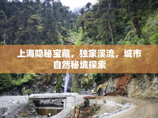 上海隱秘寶藏，獨家溪流，城市自然秘境探索