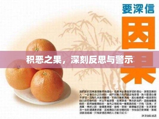 積惡之果，深刻反思與警示