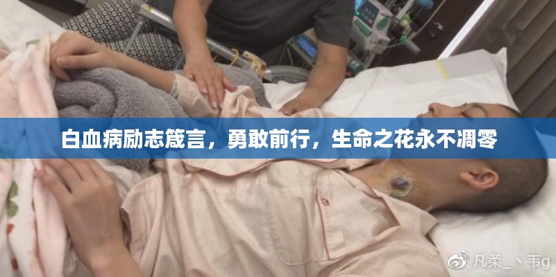 白血病勵志箴言，勇敢前行，生命之花永不凋零