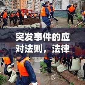 突發事件的應對法則，法律指引下的緊急處置之道