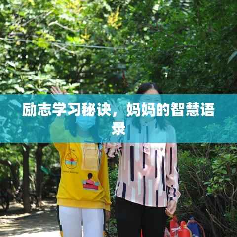 勵(lì)志學(xué)習(xí)秘訣，媽媽的智慧語(yǔ)錄