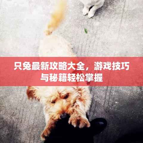 羅含夢(mèng)鳥(niǎo) 第4頁(yè)