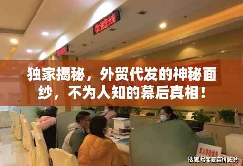 獨家揭秘，外貿代發的神秘面紗，不為人知的幕后真相！