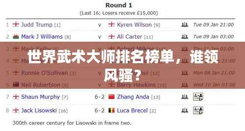 世界武術(shù)大師排名榜單，誰(shuí)領(lǐng)風(fēng)騷？