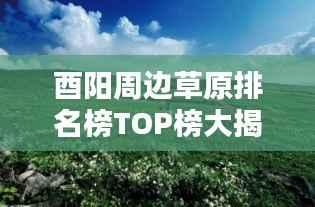酉陽周邊草原排名榜TOP榜大揭秘！最新排名榜單來襲！