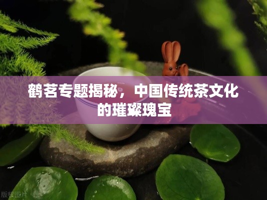 鶴茗專題揭秘，中國(guó)傳統(tǒng)茶文化的璀璨瑰寶