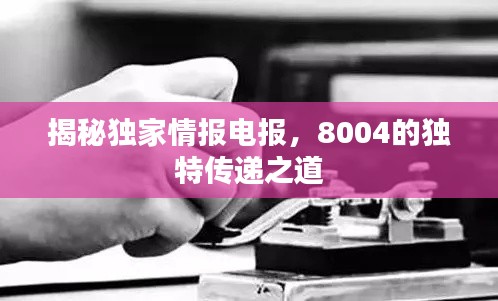揭秘獨家情報電報，8004的獨特傳遞之道