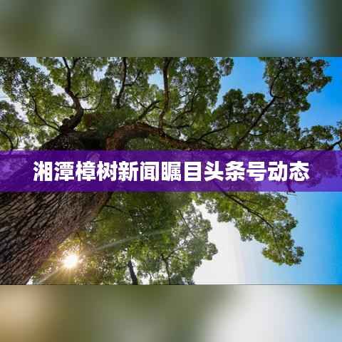 湘潭樟樹新聞矚目頭條號動(dòng)態(tài)
