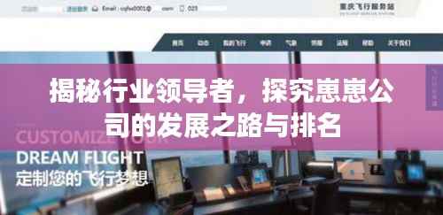 揭秘行業領導者，探究崽崽公司的發展之路與排名