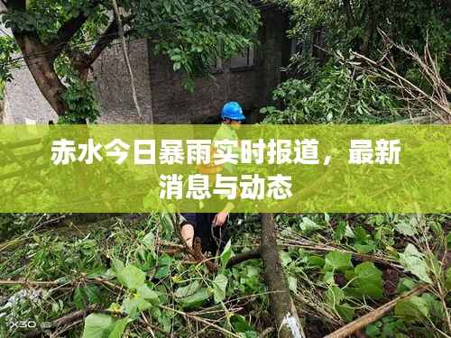 赤水今日暴雨實時報道，最新消息與動態