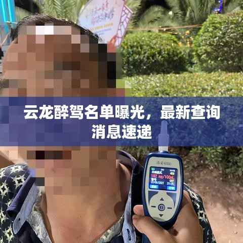 云龍醉駕名單曝光，最新查詢消息速遞