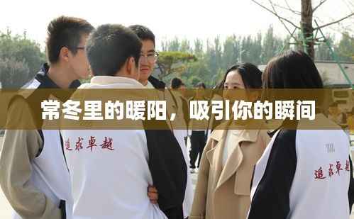 常冬里的暖陽，吸引你的瞬間