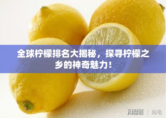 全球檸檬排名大揭秘，探尋檸檬之鄉的神奇魅力！
