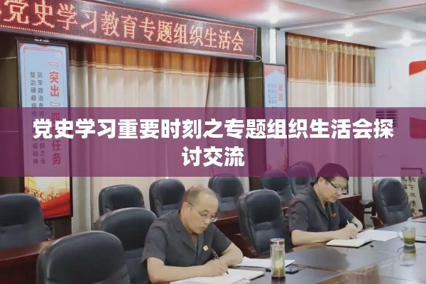 黨史學習重要時刻之專題組織生活會探討交流