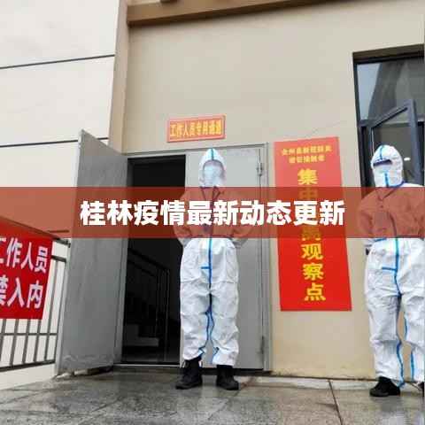 桂林疫情最新動態更新