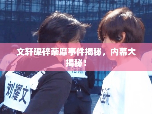 文軒碾碎荼靡事件揭秘，內幕大揭秘！