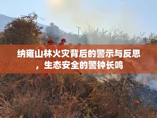 納雍山林火災背后的警示與反思，生態安全的警鐘長鳴