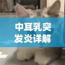 中耳乳突發炎詳解，定義、誘因、癥狀與治療方案