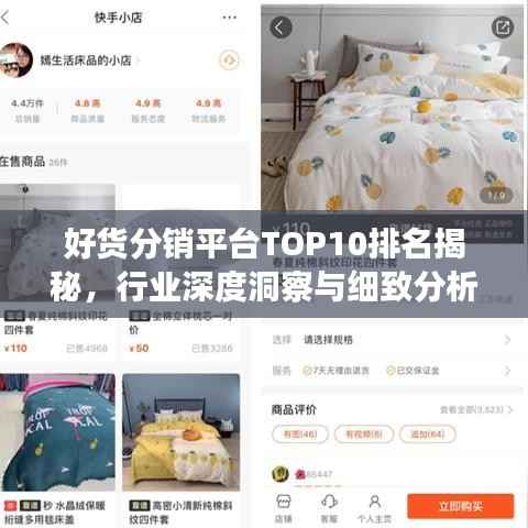 好貨分銷平臺TOP10排名揭秘，行業(yè)深度洞察與細(xì)致分析