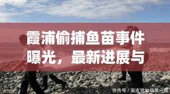 霞浦偷捕魚苗事件曝光，最新進(jìn)展與細(xì)節(jié)揭秘