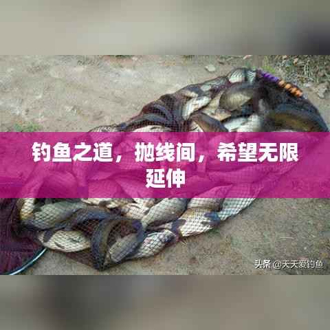 釣魚之道，拋線間，希望無限延伸