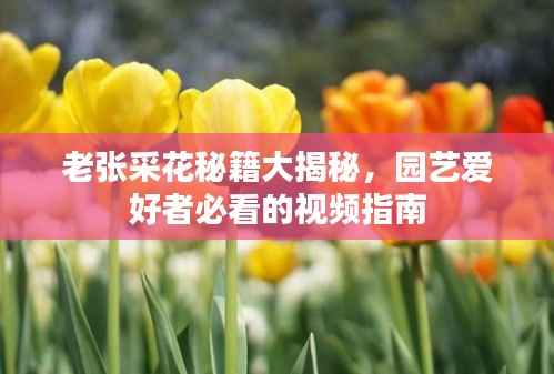 老張采花秘籍大揭秘，園藝愛好者必看的視頻指南