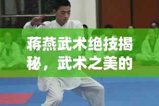 蔣燕武術絕技揭秘，武術之美的獨特魅力視頻欣賞