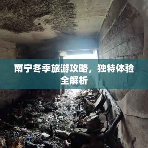 南寧冬季旅游攻略，獨特體驗全解析