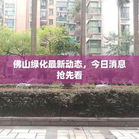 佛山綠化最新動態，今日消息搶先看