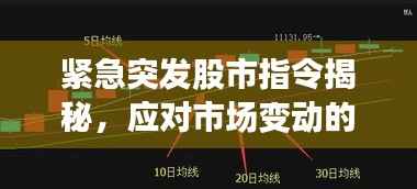 緊急突發股市指令揭秘，應對市場變動的關鍵策略指南