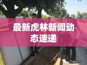 最新虎林新聞動態(tài)速遞