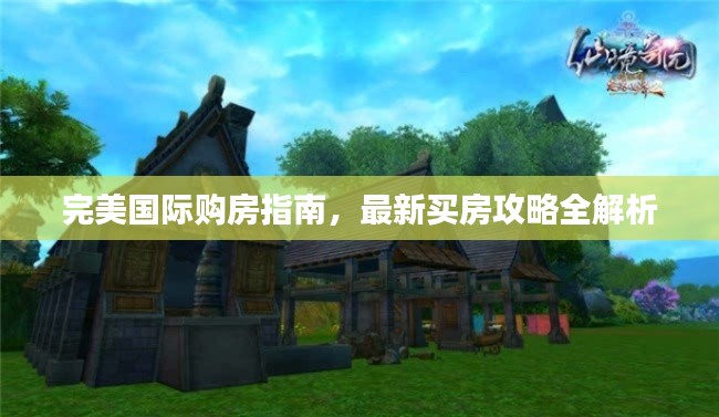 完美國際購房指南，最新買房攻略全解析