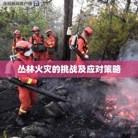 叢林火災(zāi)的挑戰(zhàn)及應(yīng)對(duì)策略