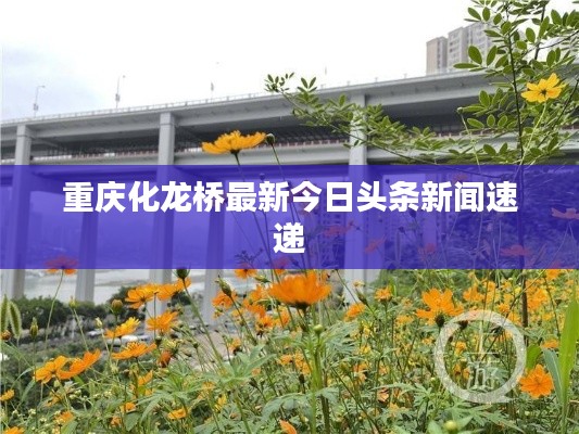 重慶化龍橋最新今日頭條新聞速遞