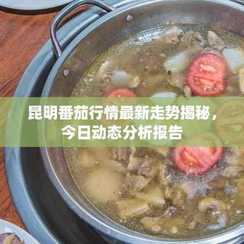 昆明番茄行情最新走勢揭秘，今日動態分析報告
