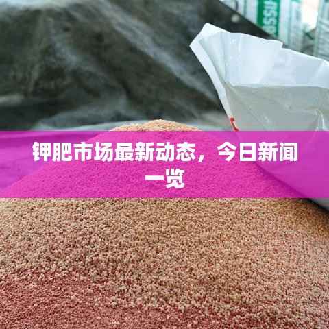 鉀肥市場最新動態，今日新聞一覽