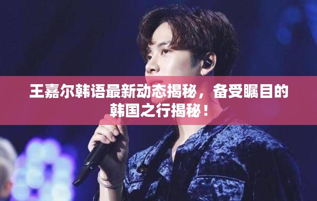 王嘉爾韓語最新動態揭秘，備受矚目的韓國之行揭秘！