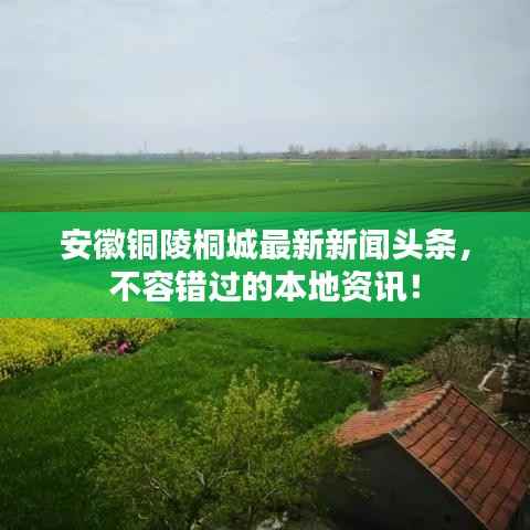安徽銅陵桐城最新新聞?lì)^條，不容錯(cuò)過的本地資訊！